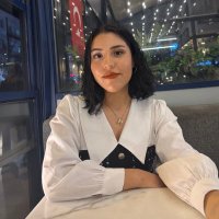 Melis (@melisseraslann) Twitter profile photo