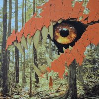Imperceptive (@9___________3) 's Twitter Profile Photo Imperceptive (@9___________3) 's Twitter Profile Photo