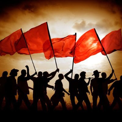 alex_bachelor's profile picture. 