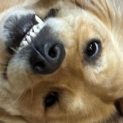 kemish23801's profile picture. 
