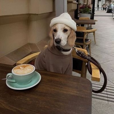 jordissbm's profile picture. gordo Melero argentino ESP/ENG
