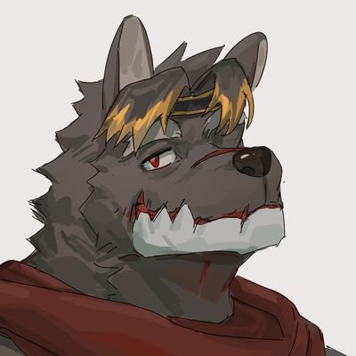 Arufafafaさんのプロフィール画像
