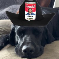 CampbellSoup 〽️🦁 (@mcdcsoup) 's Twitter Profile