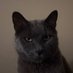 Paul K. (@gummyzoid) Twitter profile photo Paul K. (@gummyzoid) Twitter profile photo