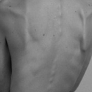 ProanatipsEd's profile picture. 