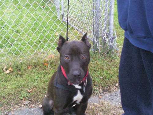 iAMblak21's profile picture. #HATEme  fukk U :)