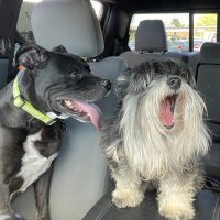 KingCoco (@davidplawrence) 's Twitter Profile Photo