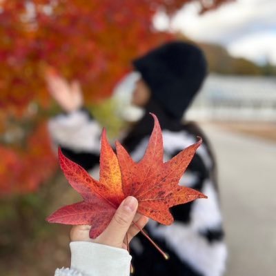 purple_rose618's profile picture. |WEB design|学習記録|ウェブデザイナーさんと繋がりたい|食べるの大好き