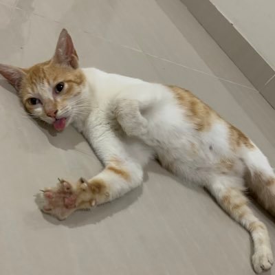 imtiredaffff's profile picture. 