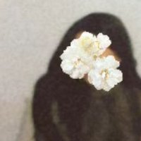 R (@xht_ii) 's Twitter Profile