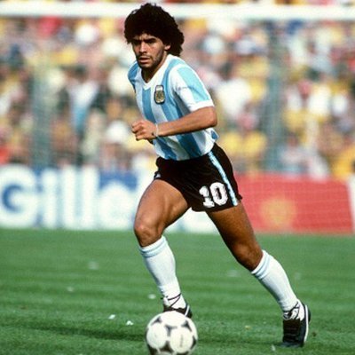 HoekstraMees's profile picture. 