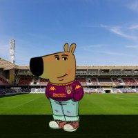 MARCO (@marcorccv) 's Twitter Profile