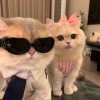 BG (@b_g_345) Twitter profile photo