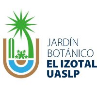 izotaluaslp (@izotaluaslp) 's Twitter Profile Photo izotaluaslp (@izotaluaslp) 's Twitter Profile Photo