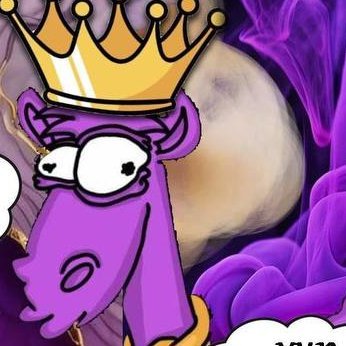 damian883563's profile picture. lama in my living room