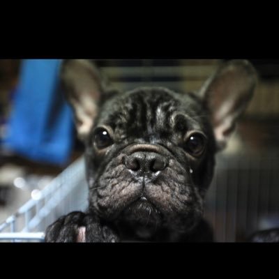 ngt71332110go's profile picture. 車とバイクとカメラが大好きです！