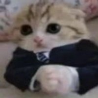 Mantas (ceMent) (@cementz0) 's Twitter Profile