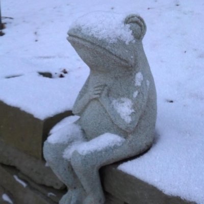 danmoraski's profile picture. 