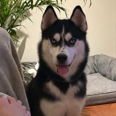 TicTocToca's profile picture. Love sharing opinions