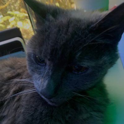 ToasterToby14's profile picture.