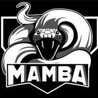 Mamba Fastpitch (@mambafastpitch) 's Twitter Profile
