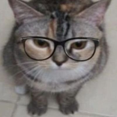 mlody_uczihaさんのプロフィール画像