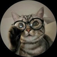 Not Atlas 🦦 (@samhingwong) 's Twitter Profile