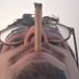 silvinho do bts vulgarmente diogo (@otaldomarselo) Twitter profile photo silvinho do bts vulgarmente diogo (@otaldomarselo) Twitter profile photo