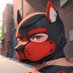 Pup Izzy (@pupizzymtl) Twitter profile photo Pup Izzy (@pupizzymtl) Twitter profile photo