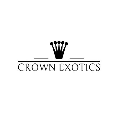 ArturGevor49358's profile picture. Creator