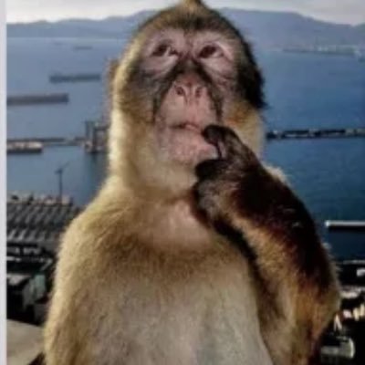 Hammystien37639's profile picture. 