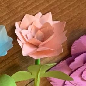 ママだけどママでもHANA好き🌹40代も応援🌹枯れることのない綺麗な花が7輪いつまでも咲き続きます！ 25年１月FC加入！🐝🍯🙌 HANA垢つくりました💐 特にCHIKA、NAOKO推し🐈