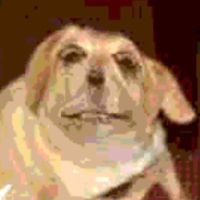 I'm Alex, I'm 23 years old, I'm someone very passionate when it comes to making projects and Roblox/Fnaf community.