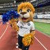 K_CRemo 🦁🅱️ (@florzinhappg) Twitter profile photo K_CRemo 🦁🅱️ (@florzinhappg) Twitter profile photo