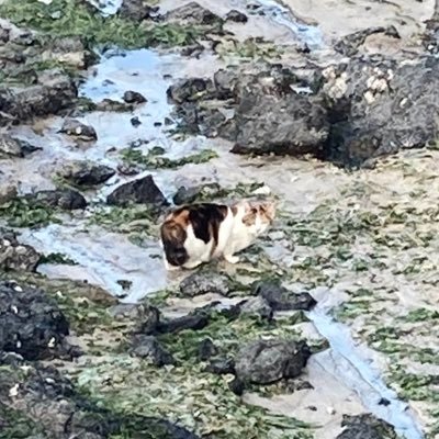 occoocoo's profile picture. 