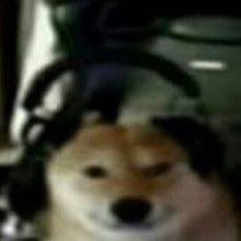 andere account frage nur bei leuten an bei denen ich auch auf andere account folge