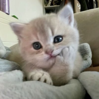 lnfn56's profile picture. 