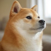 wanmolf22 (@wanmolf22) 's Twitter Profile