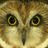 Teresa Samper (@tsamper) Twitter profile photo