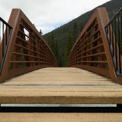 tayyjeugene's profile picture. 