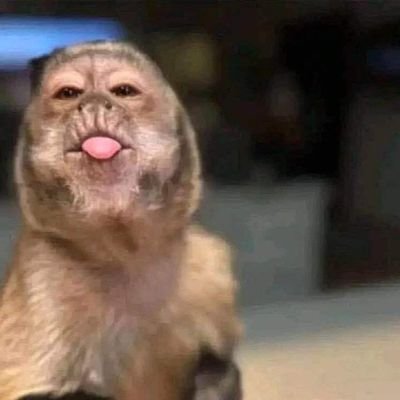 PolliSanz's profile picture. Lo que conviene viene y se mantiene.