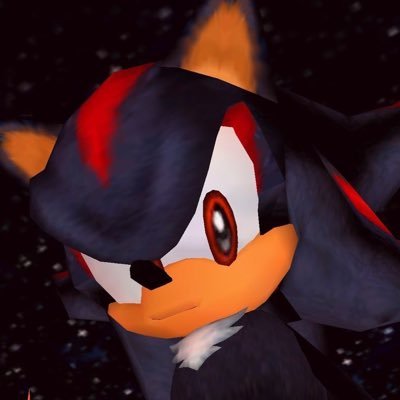 #SHADOW: caught somewhere in time.𖥔 ݁ ˖𖥔 ݁ ˖ | shadow the hedgehog brainrot | 🇵🇸 from the river to the sea !