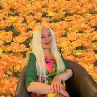 CryptoLouison (@cryptol11228) 's Twitter Profile