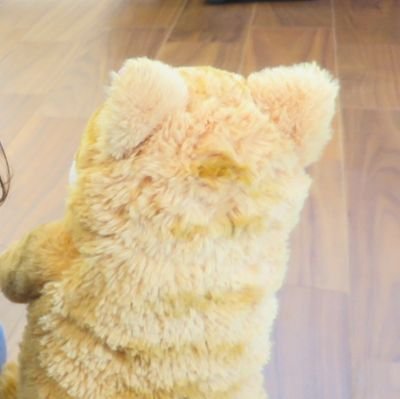 九州6面🎲/年長組の1つ年下/2児の母/
ものすごく大輝くん寄りの箱推し/next⇨アリツア福岡/claquepot/CHEMISTRY歴20数年♫/無言フォロー失礼します🙇