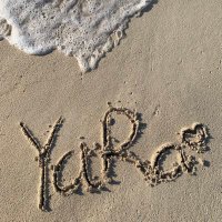 Ro⚡️ (@yaraaamo) 's Twitter Profile