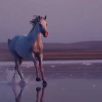 gerçekler (@a11193903039392) Twitter profile photo