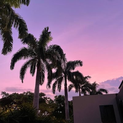 patlopez17 Profile Picture