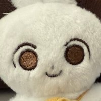 こめ🫧🪽 (@hanichoruche) Twitter profile photo