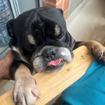 george_agrace's profile picture. 
