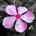 Krishnendu Sarkar (@roy34113) Twitter profile photo Krishnendu Sarkar (@roy34113) Twitter profile photo